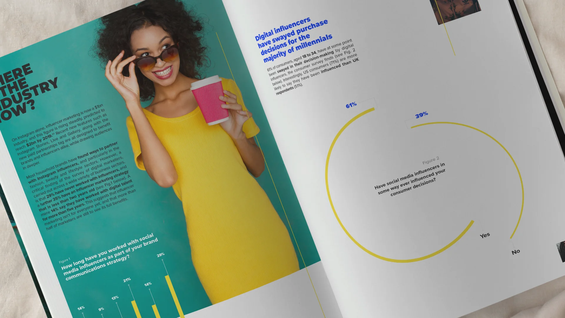 Influencer Intelligence Image6